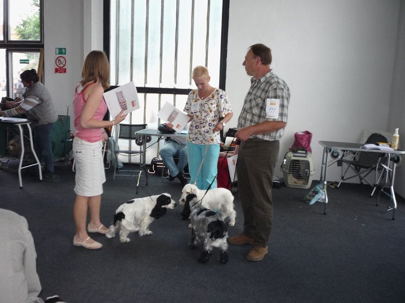 Litomerice 2009 038.jpg